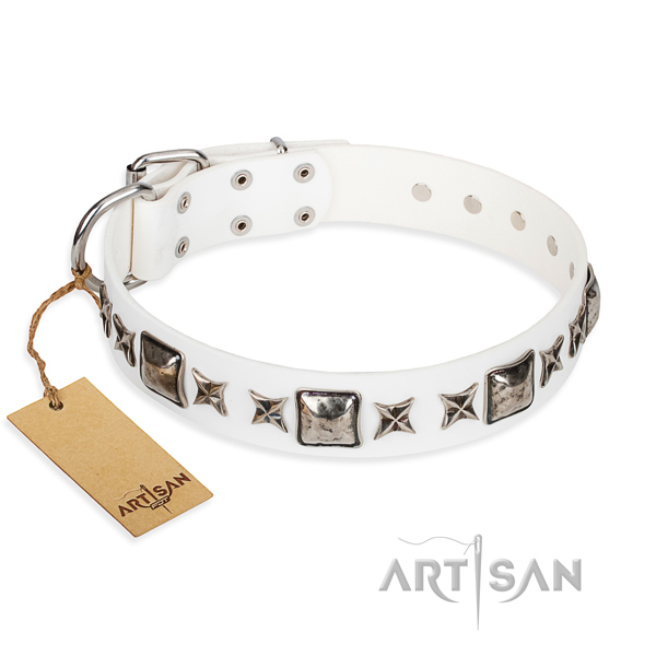 Stylish leather collar for your beloved pet