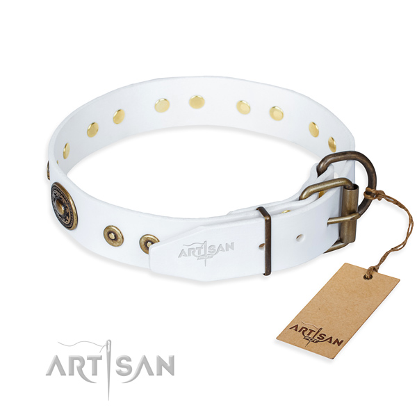 Daily leather collar for your noble Great Dane