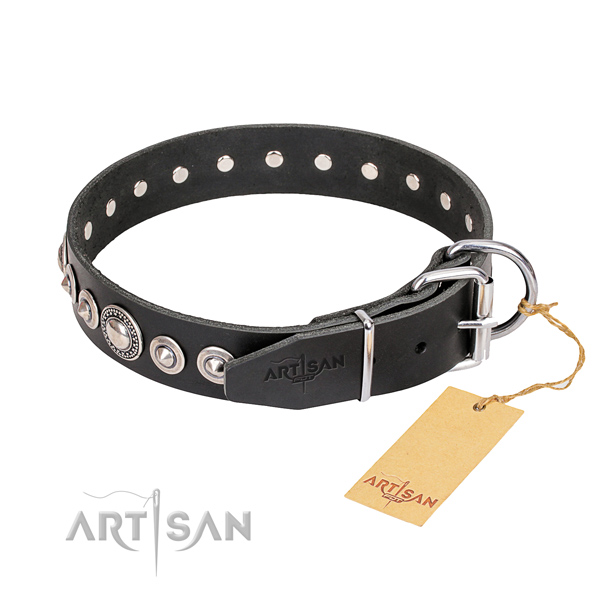 Versatile leather collar for your handsome four-legged friend
