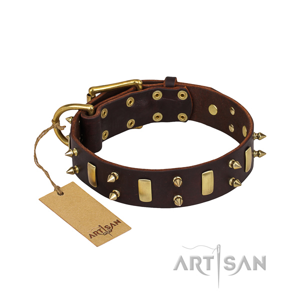 Indestructible leather dog collar with brass plated details