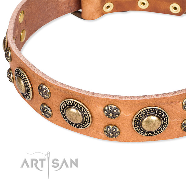 Adjustable leather dog collar with almost unbreakable durable hardware