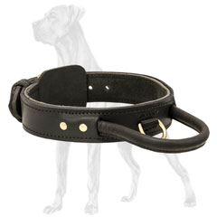 2 ply leather collar for Great Dane