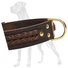 Safe Leather Dog Collar