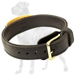 Great-Dane-Breed-Leather-Collar-With-Handle-Agitation