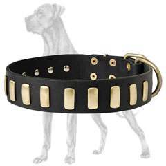 Safe Leather Dog Collar