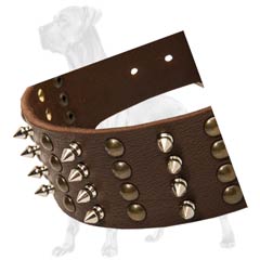 Great Dane collar with 4 rows of studs and spikes