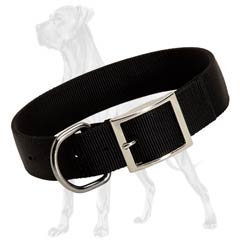 Totally non-toxic Great Dane collar