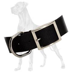 Reliable Great Dane collar for walks and training