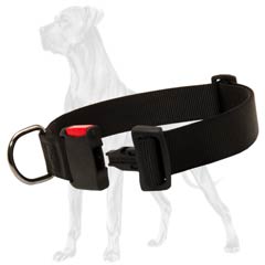 Dependable nylon Great Dane collar