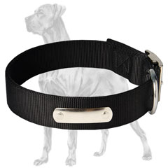 Practical Nylon Dog Collar