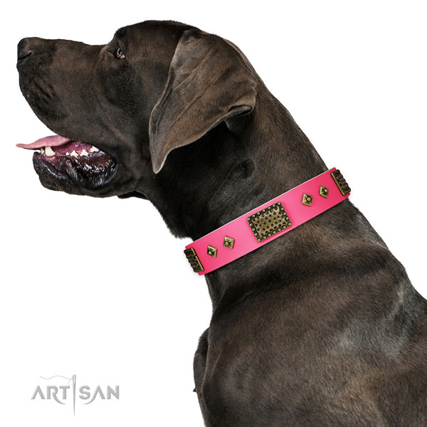 Fine quality full grain leather collar for your attractive pet