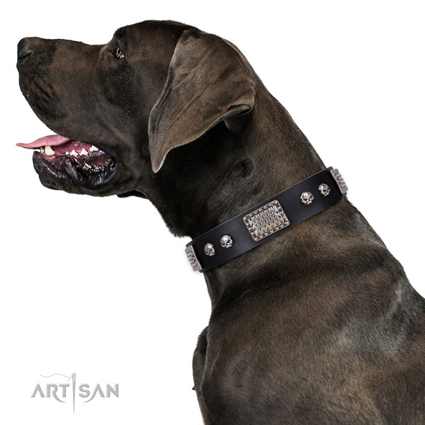 Adjustable natural genuine leather collar for your impressive pet