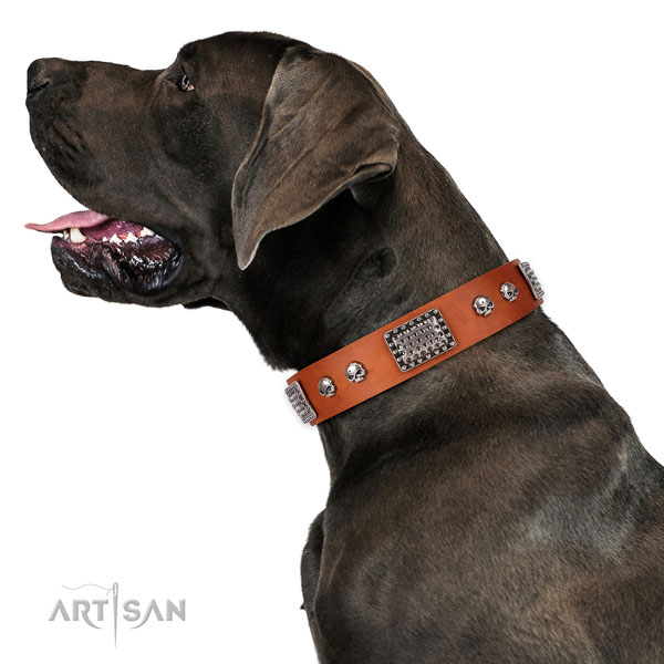 Unique full grain natural leather collar for your attractive four-legged friend