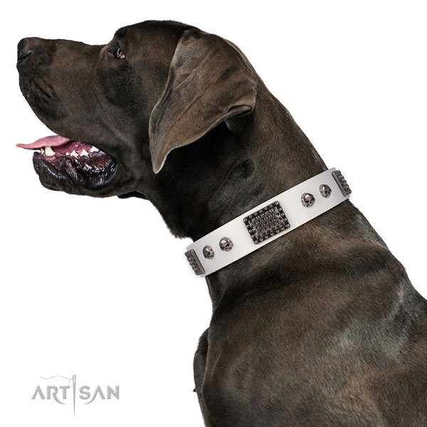 Easy wearing full grain natural leather collar for your stylish four-legged friend