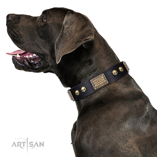 Fine quality genuine leather collar for your beautiful four-legged friend