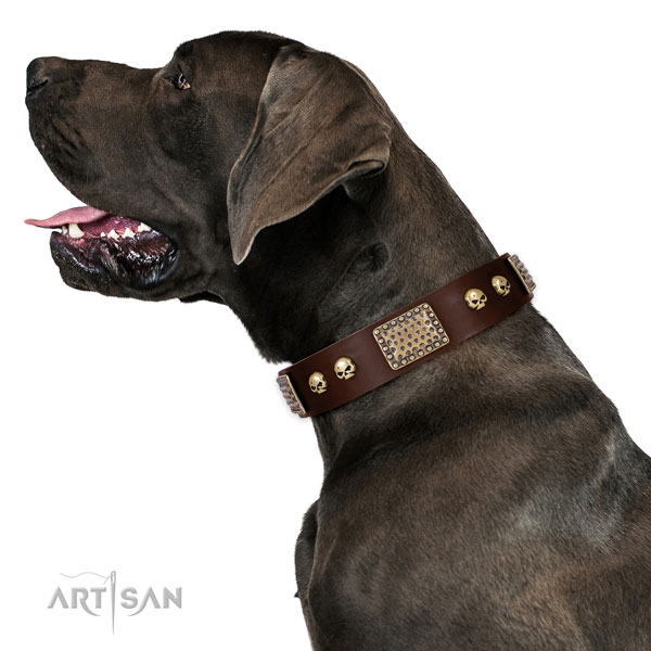 Rust resistant D-ring on genuine leather dog collar for handy use