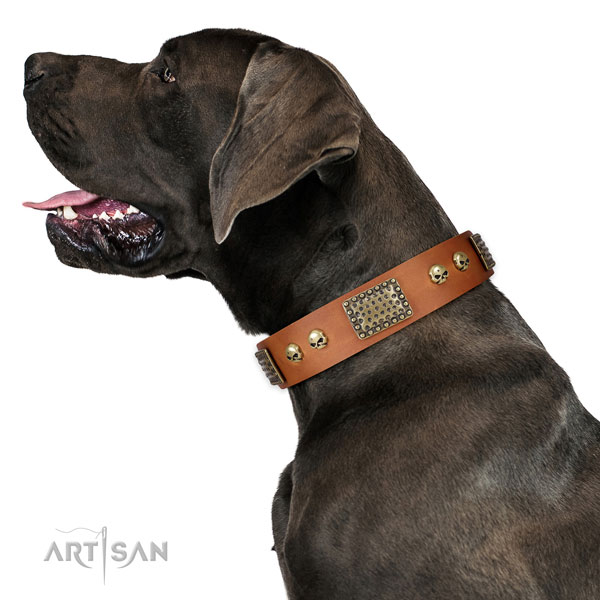 Reliable fittings on genuine leather dog collar for easy wearing