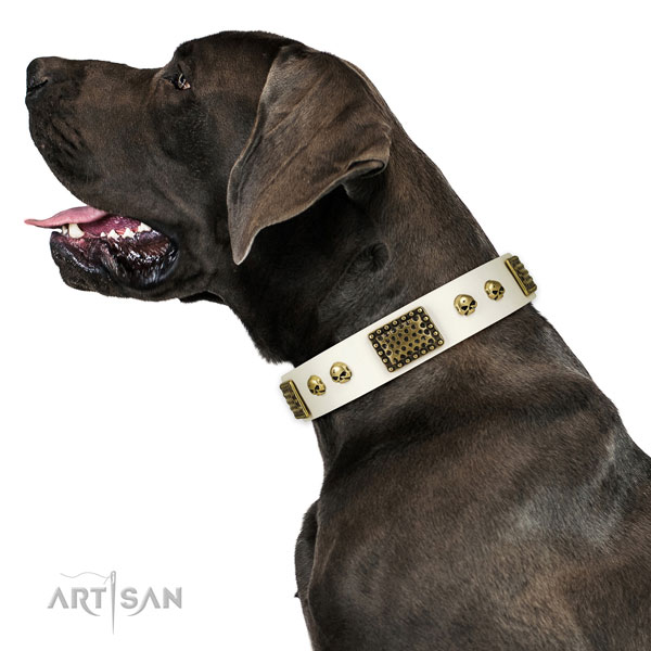 Corrosion proof buckle on full grain genuine leather dog collar for comfy wearing