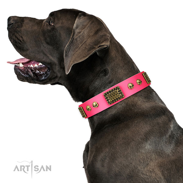 Corrosion proof buckle on full grain natural leather dog collar for fancy walking