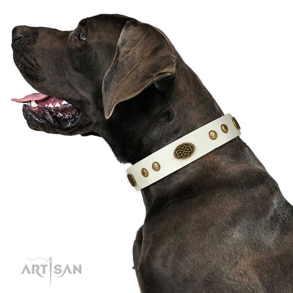 Strong D-ring on leather dog collar for comfortable wearing