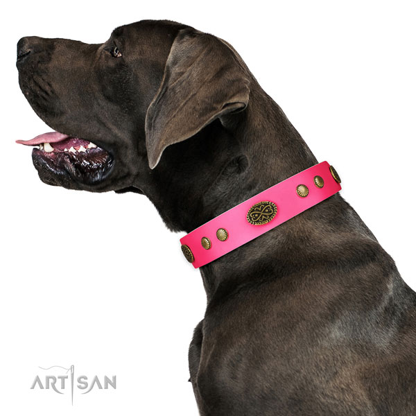 Corrosion resistant D-ring on natural leather dog collar for everyday walking