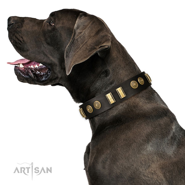 Strong hardware on genuine leather dog collar for fancy walking