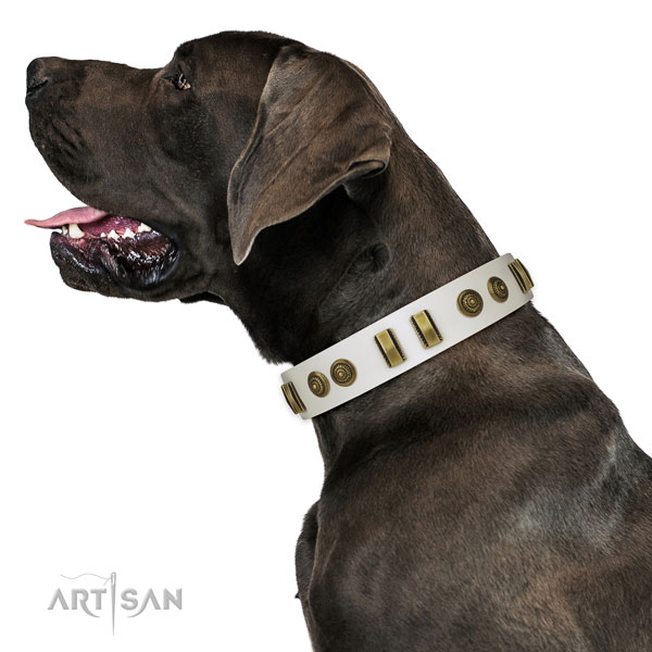 Rust resistant fittings on leather dog collar for everyday use