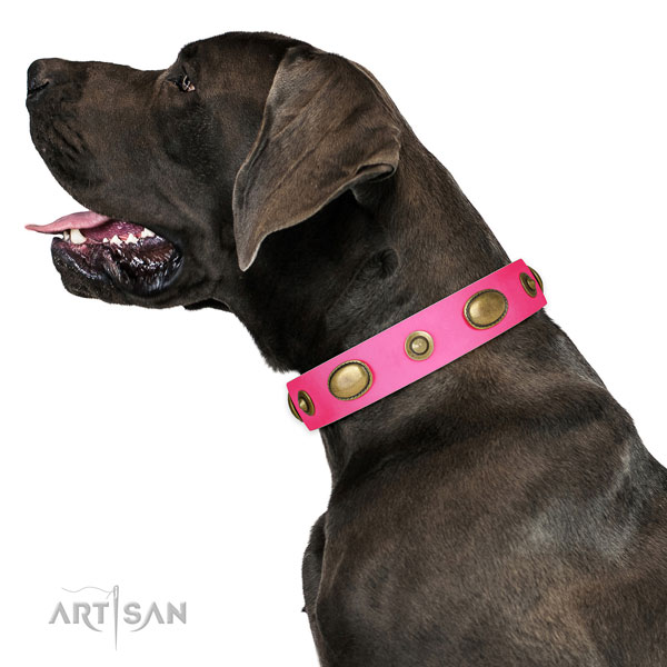 Everyday use dog collar of natural leather with inimitable studs