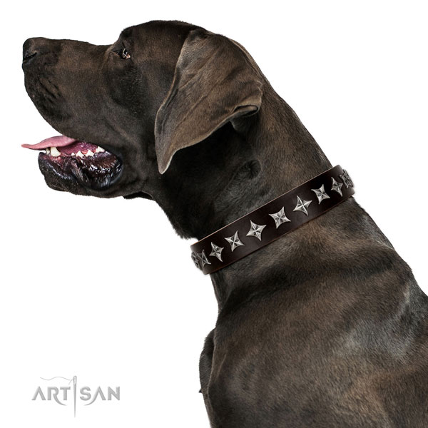 Everyday use embellished dog collar of top notch natural leather