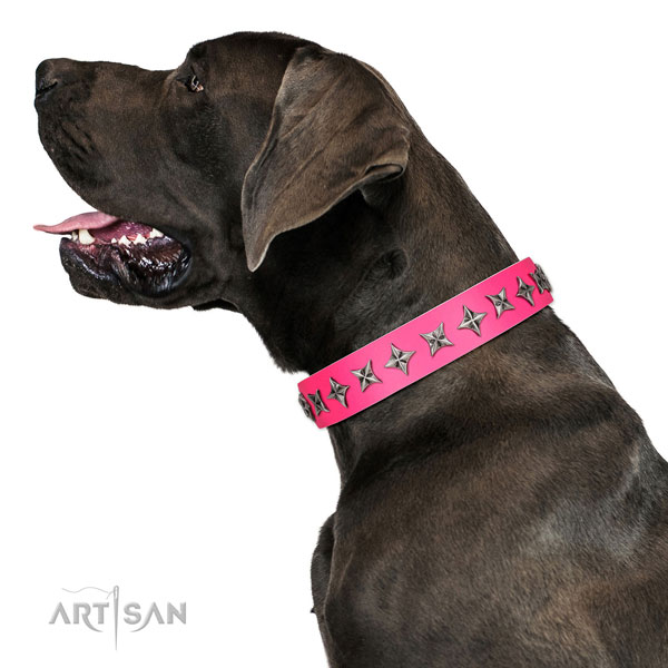 Quality full grain natural leather dog collar with unusual decorations