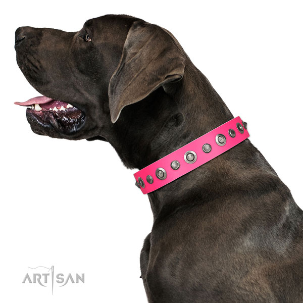 Leather collar with rust-proof fittings for your stylish dog