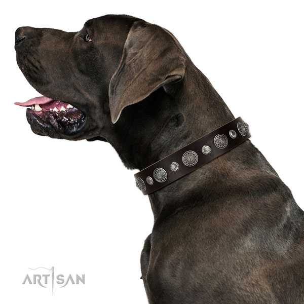 Genuine leather collar with corrosion resistant D-ring for your lovely doggie