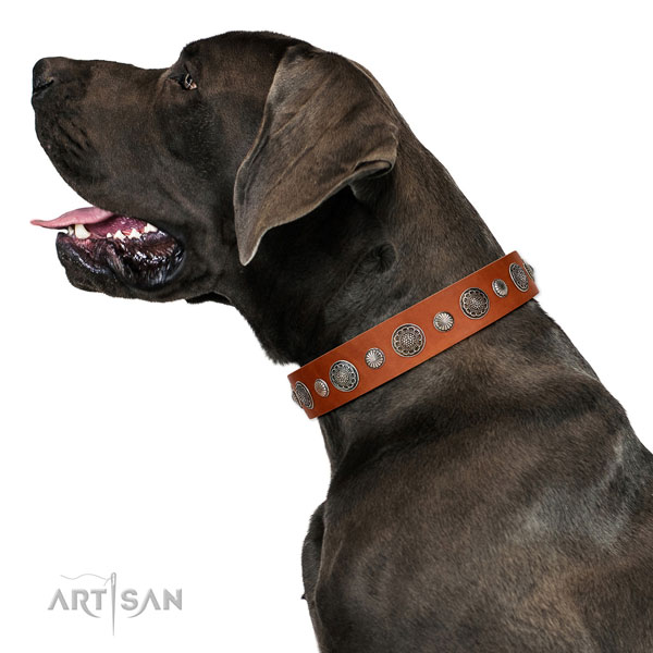 Convenient leather dog collar with rust resistant traditional buckle