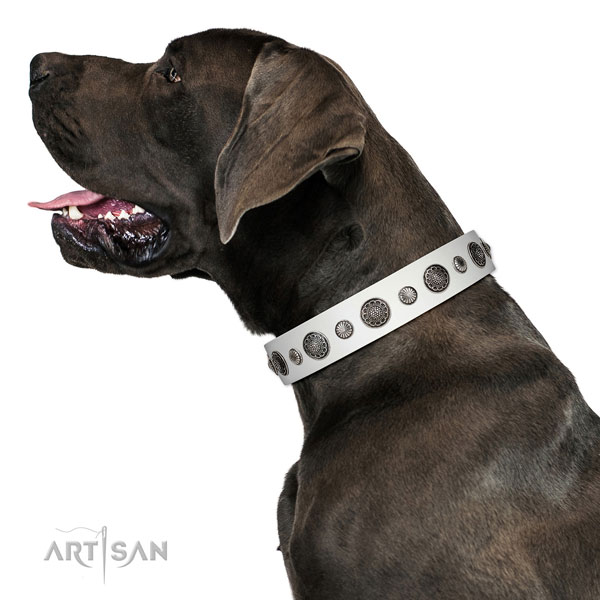 Awesome genuine leather dog collar with rust-proof hardware