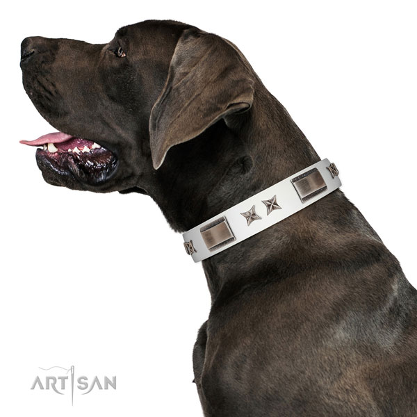 Everyday walking gentle to touch leather dog collar with studs