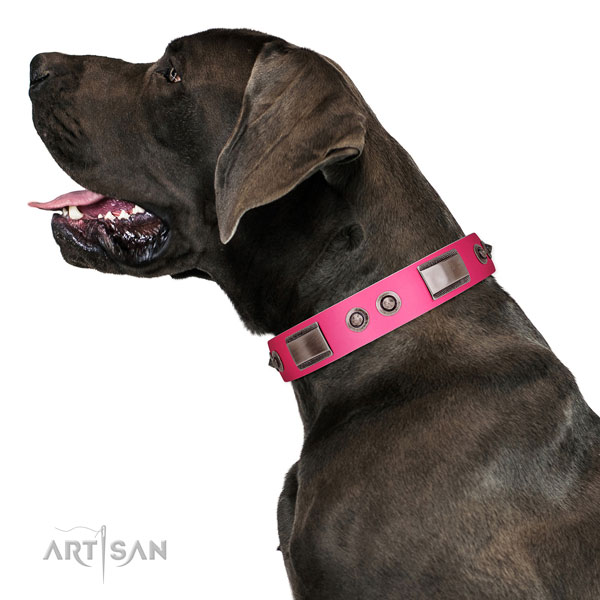 Convenient full grain leather dog collar with adornments