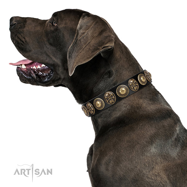 Inimitable full grain natural leather collar for your beautiful four-legged friend