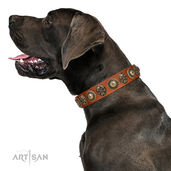 Unique full grain natural leather collar for your attractive four-legged friend