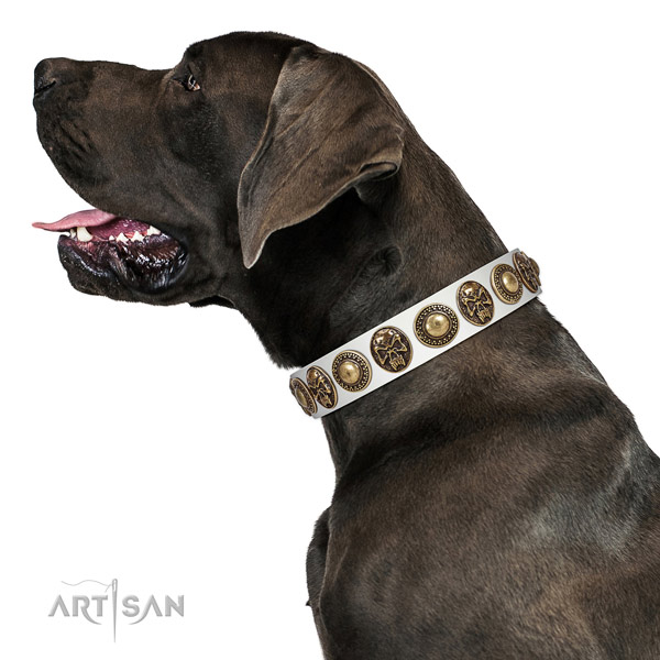 Easy wearing full grain natural leather collar for your stylish four-legged friend