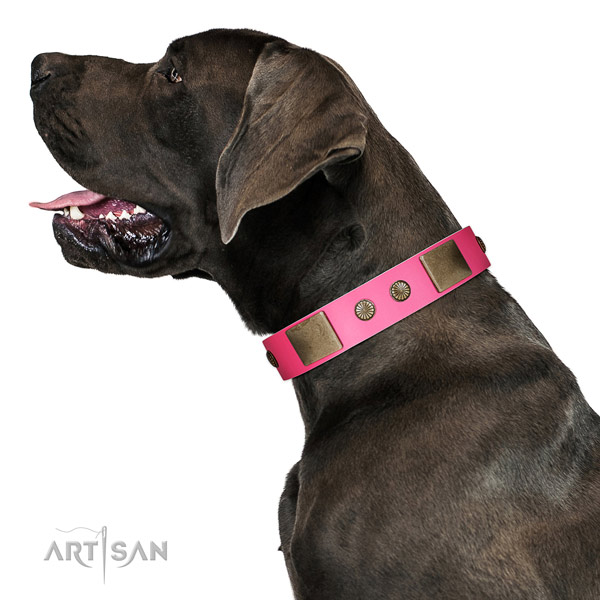 Rust resispinkt D-ring on genuine leather dog collar for handy use