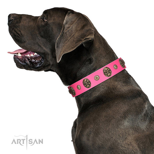 Corrosion resistant D-ring on natural genuine leather dog collar for everyday walking