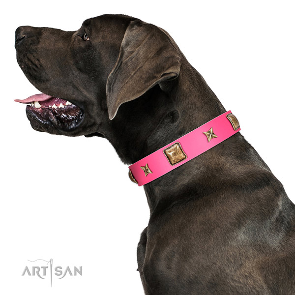 Easy wearing dog collar crafted for your beautiful dog