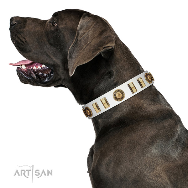 Embellished genuine leather dog collar with durable hardware