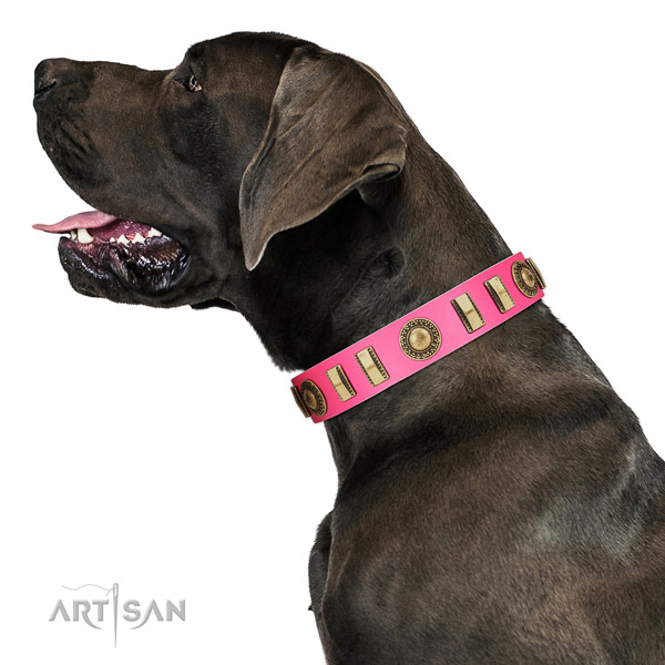 Unique genuine leather dog collar with rust resistant buckle