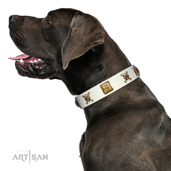 Fashionable genuine leather dog collar with rust resistant decorations