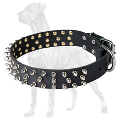 Non-toxic Great Dane collar of dog-friendly material