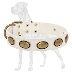 Hypoallergic Decorated Leather Great Dane Collar