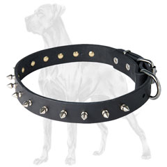 Non-Toxic Leather Great Dane Collar Decorated with Spikes