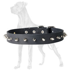Soft Decorated Leather Great Dane Collar