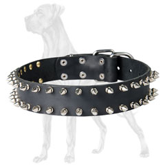 Hypoallergic Spiked Leather Collar for Great Dane